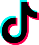 Download TikTok Logo Icon Vector & PNG - Brand Logo Vector