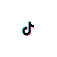 TikTok Logo Icon Vector