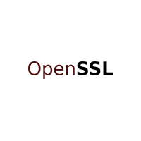 Open SSL Logo Vector