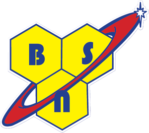 BSN Supplements Logo
