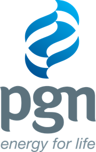 PGN Logo