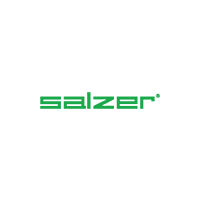 Salzer Electronics Logo Vector