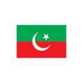 PTI Flag Logo