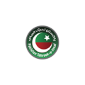 Pakistan Tehreek-e-Insaf Logo
