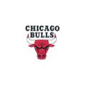 Chicago Bulls Old Logo