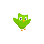 Duolingo Icon Logo