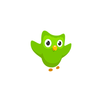 Duolingo Icon Logo Vector