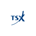 Toronto Stock Exchange Logo