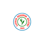 Çaykur Rizespor Logo