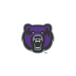 Central Arkansas Bears Icon Logo