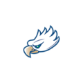 Florida Gulf Coast Eagles Icon Logo