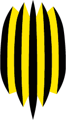 FC Rukh Lviv Icon Logo