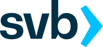 SVB Icon Logo PNG