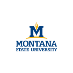 Montana State University Logo