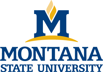 Montana State University Logo PNG